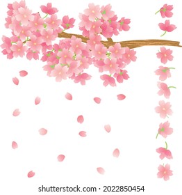 Es una rama de flores de cerezo dibujada con un vector.