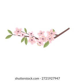 Um ramo de flores de cerejeira em um fundo branco. Vetor de estilo plano.
