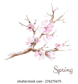 Branch of cherry blossoms. Watercolor spring background for greeting cards, invitations, and other printing projects.