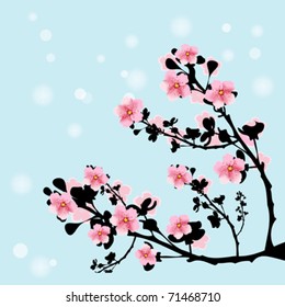 Branch of cherry flowers