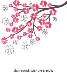 Branch of cherry flowers vector illustration on white background.