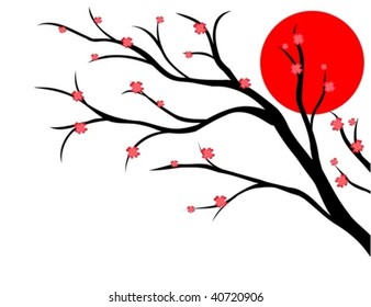 branch of cherry, japanese style