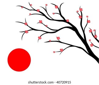 branch of cherry, japanese style