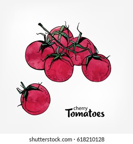 branch of cherry tomatoes, hand drawn colorful watercolor illustration.