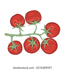 A branch of cherry tomatoes. Scenic vector illustration. Template for design