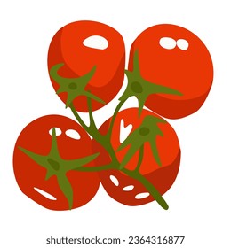 Branch of cherry tomatoes. Vector isolated illustration.