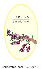 The branch of a cherry tree. Japanese cherry for decorative design. Isolated white background. Floral vector illustration. Sakura vector flower. Decorative frame. Japanese culture. Spring period