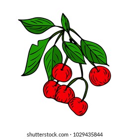 Branch with cherry tree vector illustration. Doodle style. Design, print, logo, decor, textile, paper