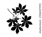 Branch of chestnut or buckeye tree with fan leaves, black silhouette on white. Hand drawn sketch, minimal stencil design. Vector for floral print, botanical, forest and park illustration.