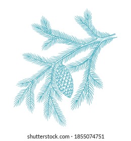 Rama de navidad azul árbol con nieve. Conifer spruce. Invierno helado. Postal de árbol de abeto de año nuevo. Esbozo vector de contorno dibujado a mano. Cono y aguja de filamento.