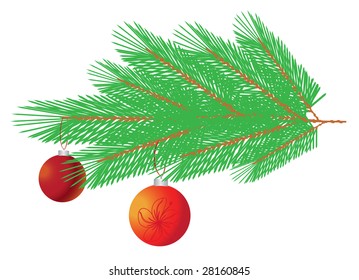 Branch of christmas tree