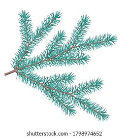 Rama de un árbol de Navidad o árbol de Navidad como concepto de año nuevo aislado en un fondo blanco para el diseño. Ilustración de un solo vector, una rama con agujas de pino como símbolo de una festividad