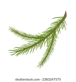  Branch of a Christmas tree, isolated on a white background, for the design of your projects. Vector illustration