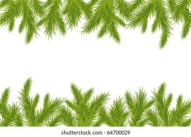 Branch Of Christmas Tree, Isolated On White Background, Vector Illustration