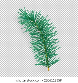 Branch Christmas tree on transparent background. Green fir twig vector illustration.