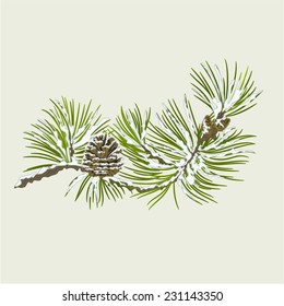 Branch of Christmas tree  with snow Pine branch whit pine cone vector illustration