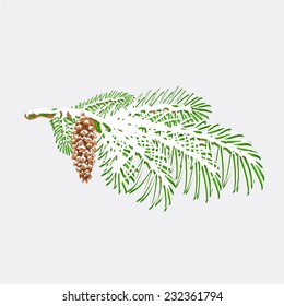 Branch Christmas tree  with snow Pine branch whit pine cone vector illustration 