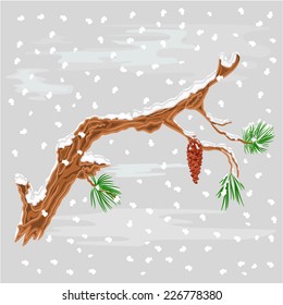 Branch of Christmas tree  with snowflakes Pine branch whit pine cone vector illustration