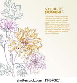 Branch of Chrysanthemum. Vector illustration.