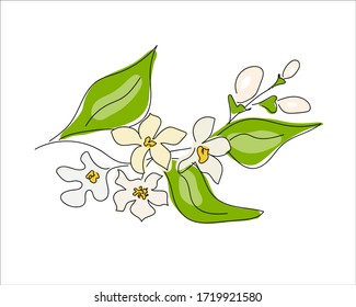 手書き 花 イラスト のベクター画像素材 画像 ベクターアート Shutterstock