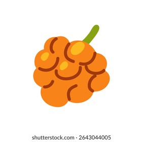 Branch of cloudberry. Icon of orange raspberry. Twig of fruit tree with berries. Healthy eating, organic farm food. Garden crop, orchard harvest. Flat isolated vector illustration on white background