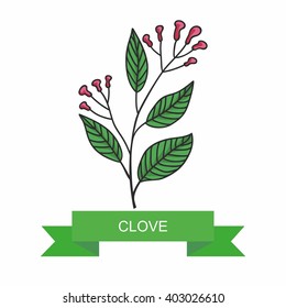 A branch of clove flowers, vector illustration, isolated on a white background