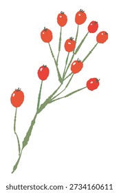 Zweig mit Cluster von kleinen Rosenhüften