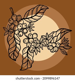 Branch of coffee with beans and leaf hand drawn for Shop Cafe Restaurants illustration