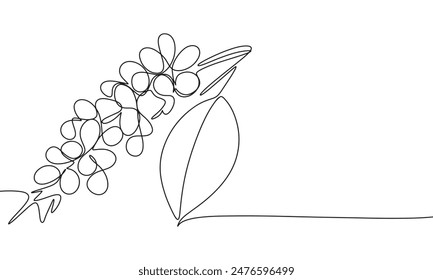 Branch of coffee beans one line continuous. Branch of coffee line art. Hand drawn vector art.
