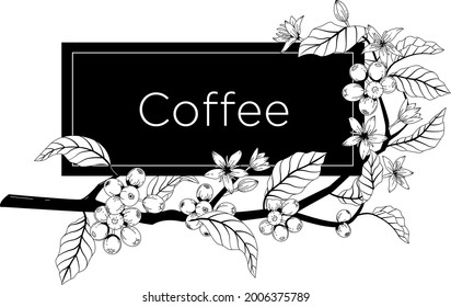 a branch of coffee with flowers and fruits, entwined around a rectangle in which you can place the logo or brand names.