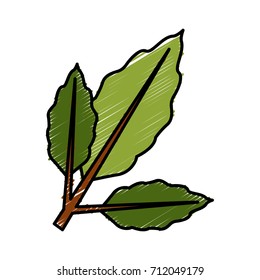 branch coffee leaf