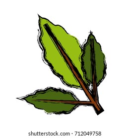 branch coffee leaf