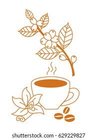 A branch of coffee with leaves. A cup of coffee.


