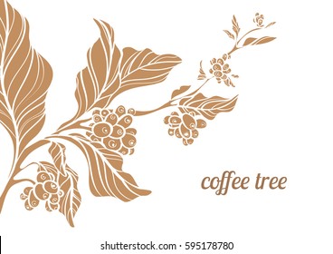 Branch of coffee tree with leaves, flowers and natural coffee beans. Botanical contour drawing. Vector illustration isolated on white background eps.10