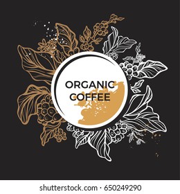 Branch of coffee tree with leaves, flowers and coffee beans. Botanical drawing in circle. Floral decor for organic product. Vector illustration for template, menu, background