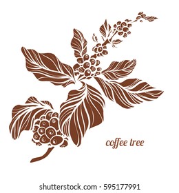 Branch of coffee tree with leaves and natural coffee beans. Botanical contour drawing. Vector illustration isolated on white background eps.10