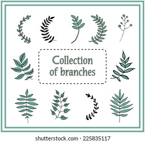 Branch collection