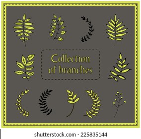 Branch collection on gray background