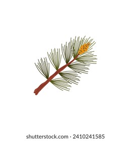 Branch of conifer tree with green needles and the cone. Taiga evergreen pine tree, fir, cedar or spruce twig icon. Christmas wood, holiday decoration. Forest plant vector flat illustration