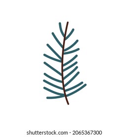 A branch of coniferous tree in a cute hand drawn style. Vector element isolated on a white background. Perfect for logo, icon, children's book. Nature theme.
