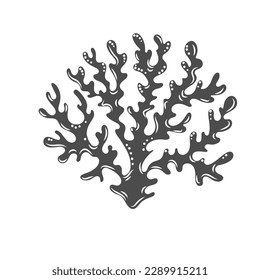 Branch coral glyph icon vector illustration. Stamp of underwater Acropora florida, silhouette of marine animal and polyp of coral reef living in deep tropical sea and ocean water, aquatic creature