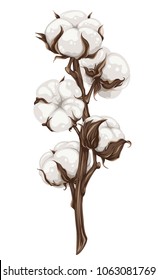 Branch of cotton