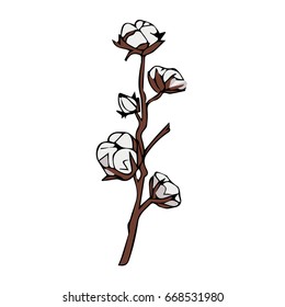 A branch of cotton on a white background vector illustration. Hand drawn bo ho chic style design elements. Perfect for wallpapers, web page backgrounds.