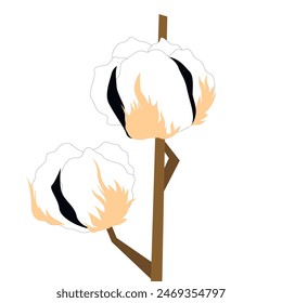 A branch of cotton, a plant for making fabric
