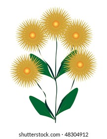 Branch of dahlias