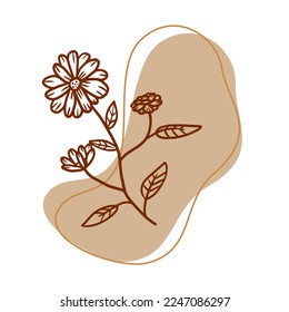 branch of daisy flower with fluid background