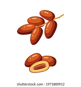 Branch of date fruits. Vector illustration cartoon flat icon isolated on white background.