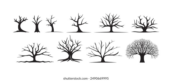 branch dead tree silhouette isolated white background
