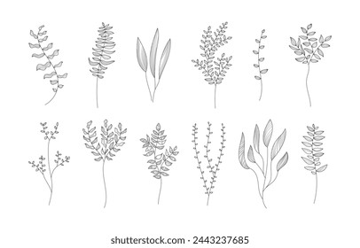 Branch decor line. Linear plant decoration set. Collection of vector coloring pages.