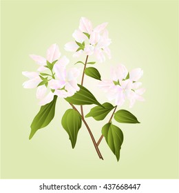 Branch decorative shrub nature background vector illustration